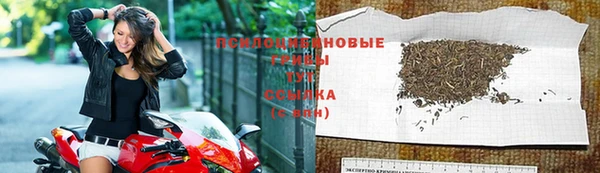 не бодяженный Богородицк
