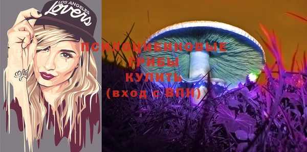 не бодяженный Богородицк