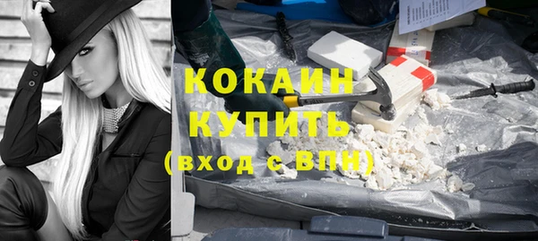 соль ск Богданович