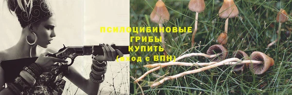 не бодяженный Богородицк