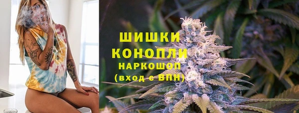 соль ск Богданович