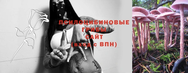 не бодяженный Богородицк